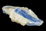 Vibrant Blue Kyanite Crystal Cluster - Brazil #113487-1